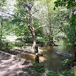 Mazury Caloroczny Przy Lesie, Jezioro * Pelnik